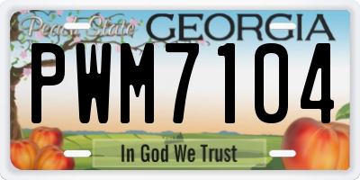 GA license plate PWM7104