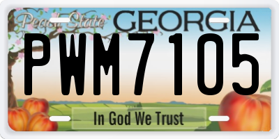 GA license plate PWM7105