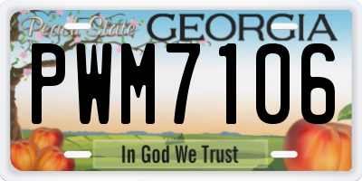 GA license plate PWM7106