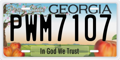 GA license plate PWM7107