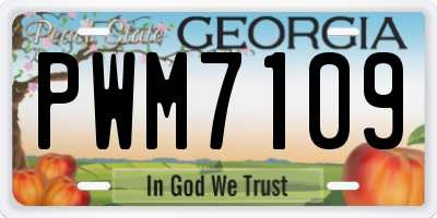 GA license plate PWM7109