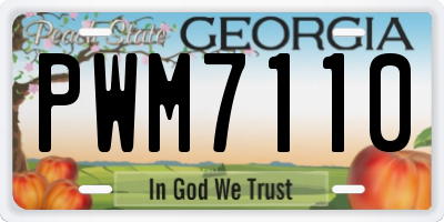 GA license plate PWM7110