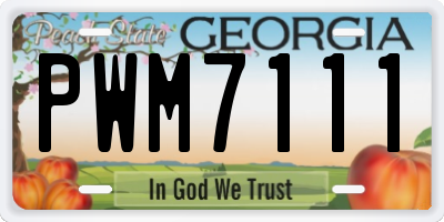 GA license plate PWM7111