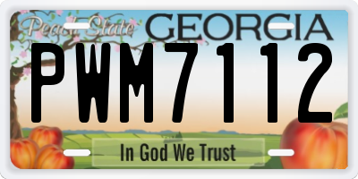 GA license plate PWM7112