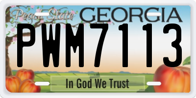 GA license plate PWM7113