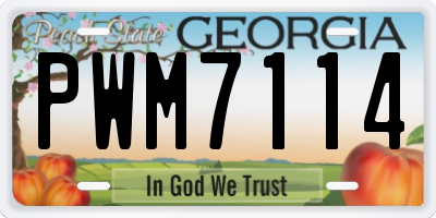 GA license plate PWM7114