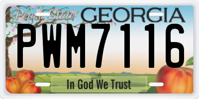GA license plate PWM7116