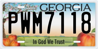 GA license plate PWM7118