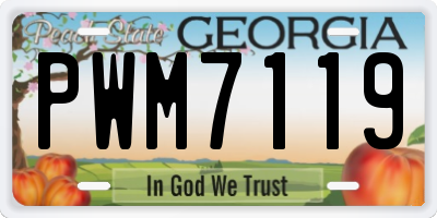 GA license plate PWM7119