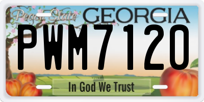GA license plate PWM7120