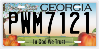 GA license plate PWM7121