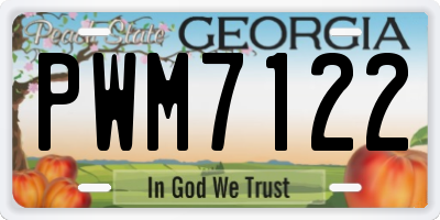 GA license plate PWM7122