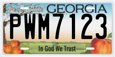 GA license plate PWM7123