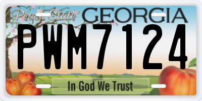 GA license plate PWM7124