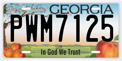 GA license plate PWM7125