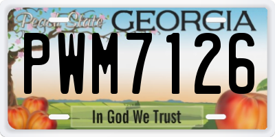 GA license plate PWM7126