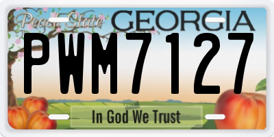 GA license plate PWM7127