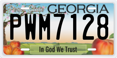 GA license plate PWM7128