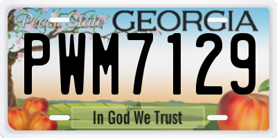 GA license plate PWM7129