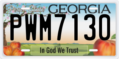 GA license plate PWM7130
