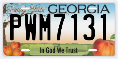 GA license plate PWM7131