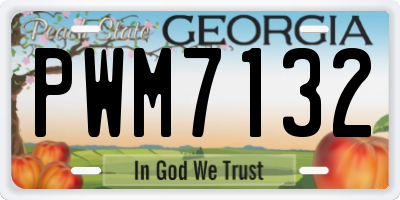 GA license plate PWM7132