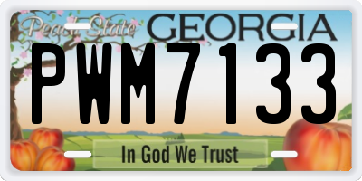 GA license plate PWM7133
