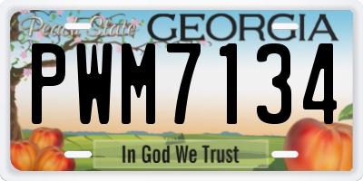 GA license plate PWM7134