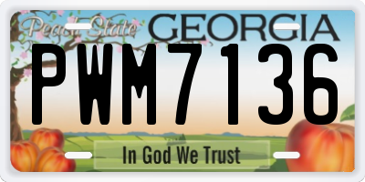 GA license plate PWM7136