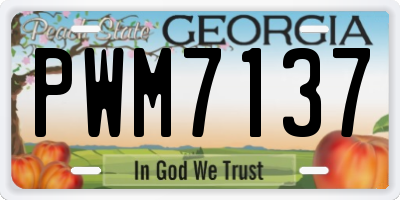 GA license plate PWM7137