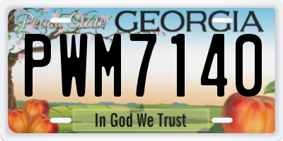 GA license plate PWM7140