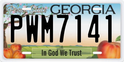 GA license plate PWM7141