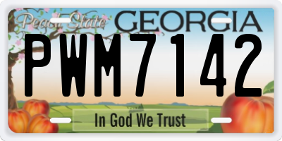 GA license plate PWM7142