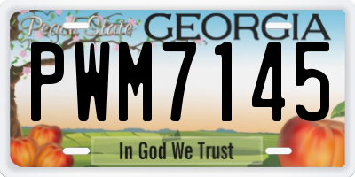 GA license plate PWM7145