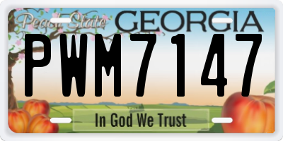 GA license plate PWM7147