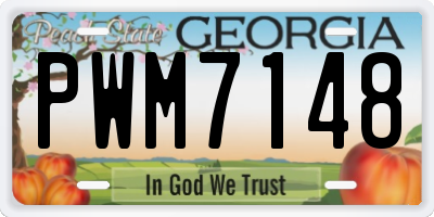 GA license plate PWM7148