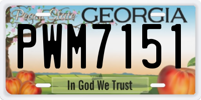GA license plate PWM7151
