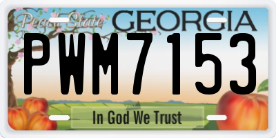 GA license plate PWM7153