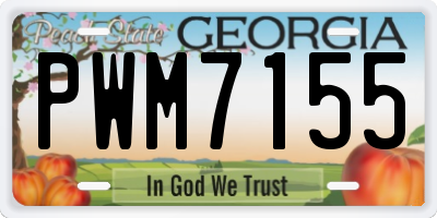 GA license plate PWM7155