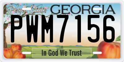 GA license plate PWM7156