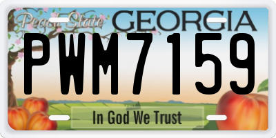 GA license plate PWM7159