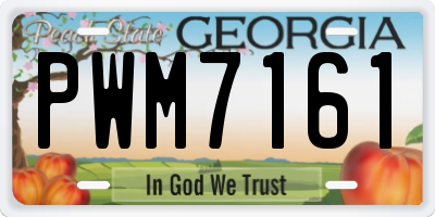 GA license plate PWM7161