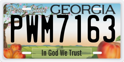 GA license plate PWM7163