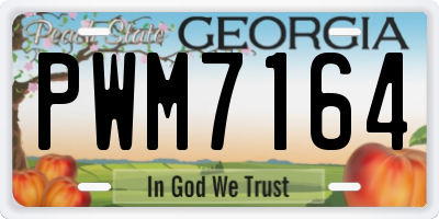 GA license plate PWM7164