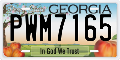 GA license plate PWM7165