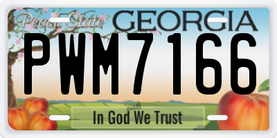GA license plate PWM7166