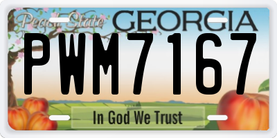 GA license plate PWM7167