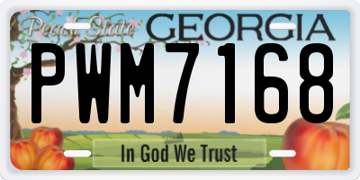 GA license plate PWM7168