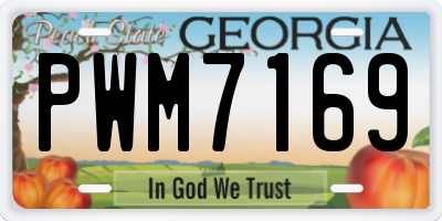GA license plate PWM7169