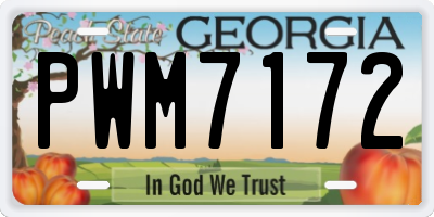 GA license plate PWM7172